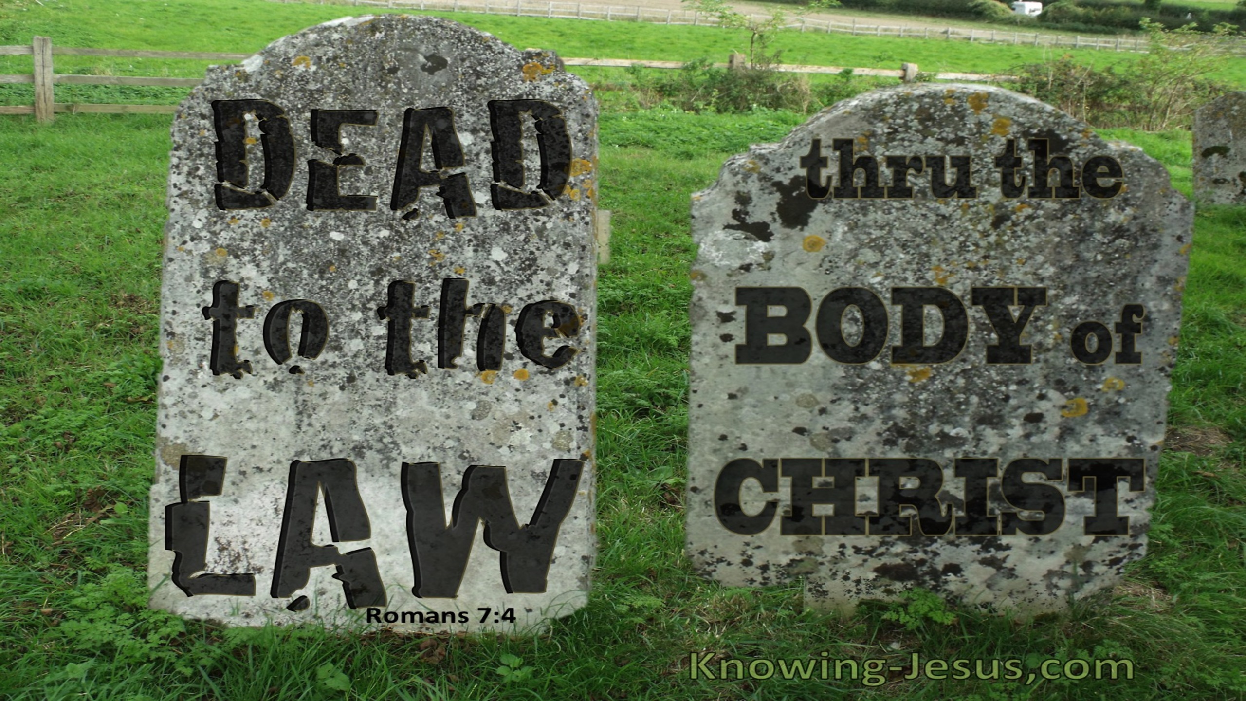 Romans 7:4 Dead To The Law (green)